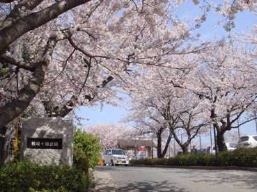 戦場ヶ原公園