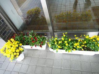 DSC01255 DSC01255