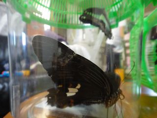 DSC03509