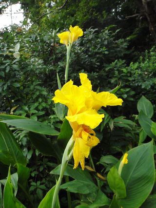 DSC03676