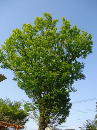 DSC00848