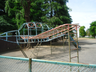 DSC02781