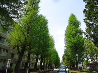 DSC04736